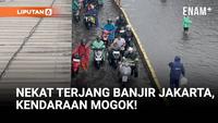 Nekat Terjang Banjir Jakarta, Kendaraan Mogok!