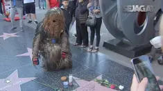 Penggemar sengaja menulis nama Carrie Fisher di bintang yang kosong di Walk of Fame demi untuk berikan penghormatan.