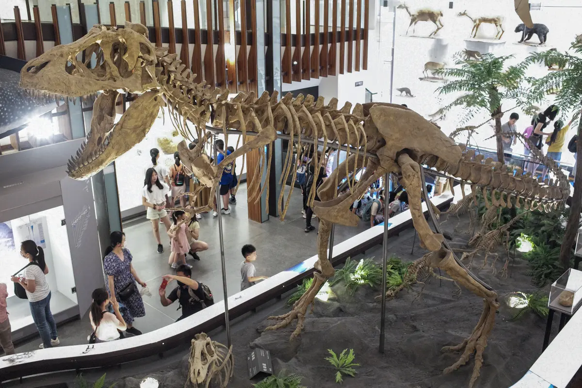 Kerangka Dinosaurus di Museum Nasional Taiwan