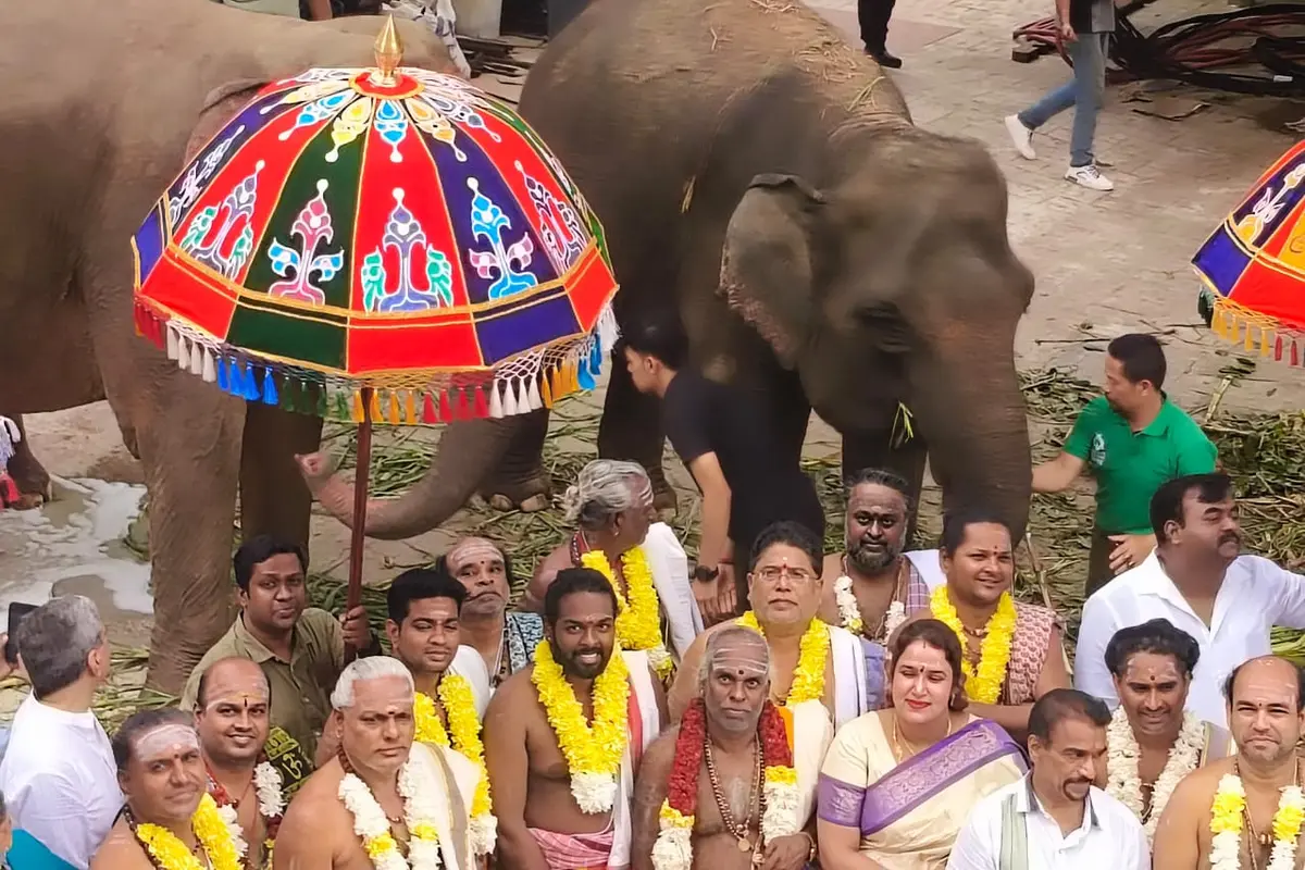 2 Ekor Gajah Disiapkan untuk Peresmian Kuil Hindu Terbesar di Indonesia