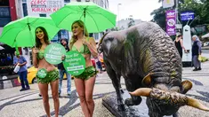 Dua aktivis wanita dari PETA yang menyebut diri mereka "Selada Ladies" memakai bikini daun selada mempromosikan gaya hidup vegan di Istanbul, Turki (17/8). Mereka mengajak masyarakat untuk beralih dengan gaya hidup vegetarian. (AFP Photo/Yasin Akgul)