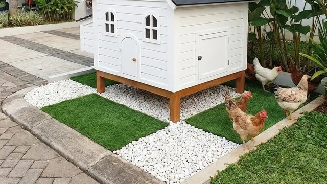 Desain Kandang Ayam Tanpa Terlihat Kumuh