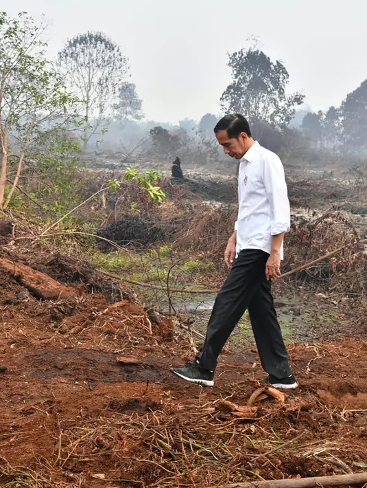Presiden Joko Widodo atau Jokowi memeriksa kerusakan akibat kebakaran hutan dan lahan (karhutla) di Pekanbaru, Riau, Selasa (17/9/2019). Jokowi ditemani sejumlah pejabat saat meninjau lokasi kebakaran. (Handout/Indonesian Presidential Palace/AFP)