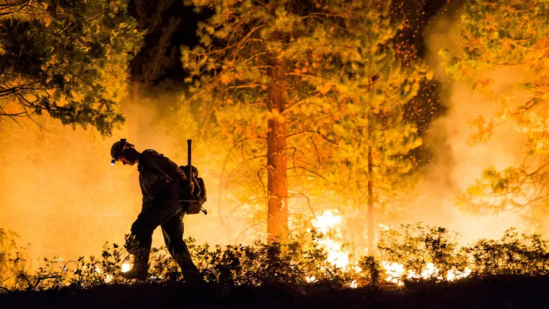 20150822-Kebakaran Hutan di California-AS
