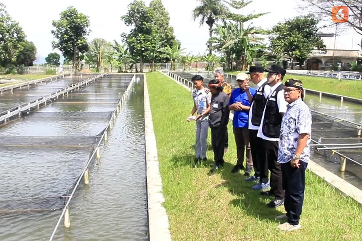 IASPB, Wali Kota Sukabumi Ayep Zaki, dan Kepala UPTD Pelabuhan Perikanan DKP Provinsi Jawa Barat, Ahman Kurniawan saat meninjau kolam ikan di BBPBAT Sukabumi. (Liputan6.com/Fira Syahrin).