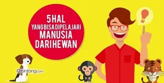 5 Hal yang Bisa Dipelajari dari Hewan