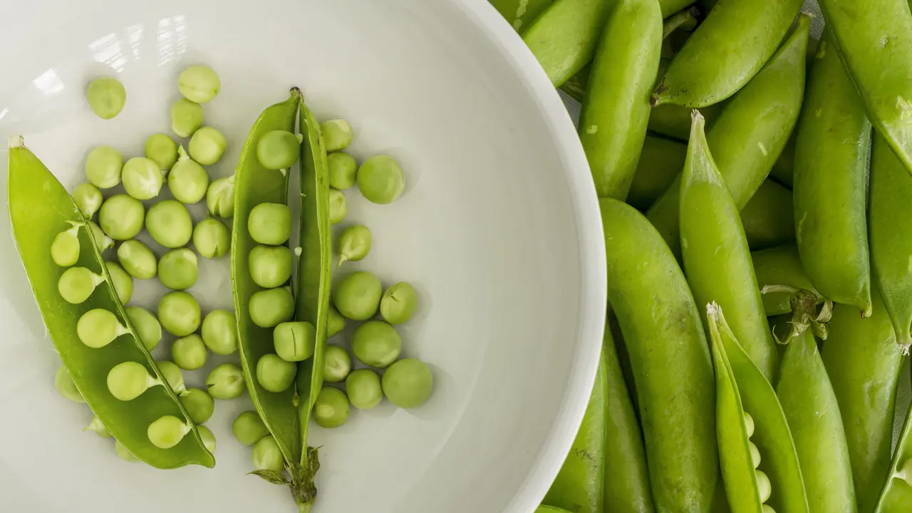 kacang polong
