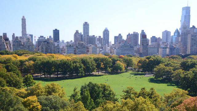 4 Negara Yang Memiliki Hutan Di Tengah Kebisingan Kota Lifestyle Liputan6 Com