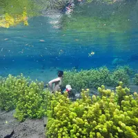 Sumber Sira, Malang, Jawa Timur. (darushadi/Instagram)