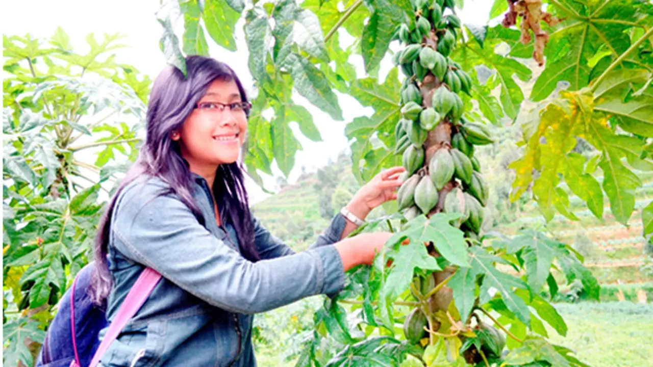 05122013-carica.jpg