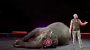 Pelatih gajah bernama Ryan Henning saat mempertunjukkan aksi gajah untuk sebuah pertunjukan sirkus gajah Ringling Bros dan Barnum & Bailey Circus ' " Circus Ekstrim " di Casey Plaza, Pennsylvania , AS , 30 April 2016. (REUTERS / Andrew Kelly)