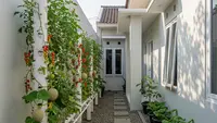 9 Desain Kebun Buah Mini di Samping Rumah yang Sempit, Ide Kreatif dan Estetik