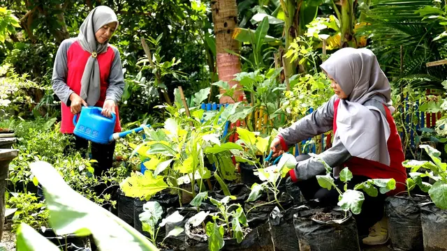 Program Bumi Kartini