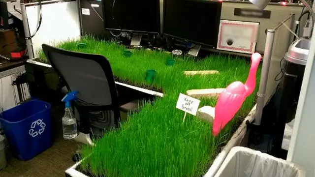 Potret Orang Kena Prank di Kantor ini Kocak Banget, Idenya Ada-Ada Saja
