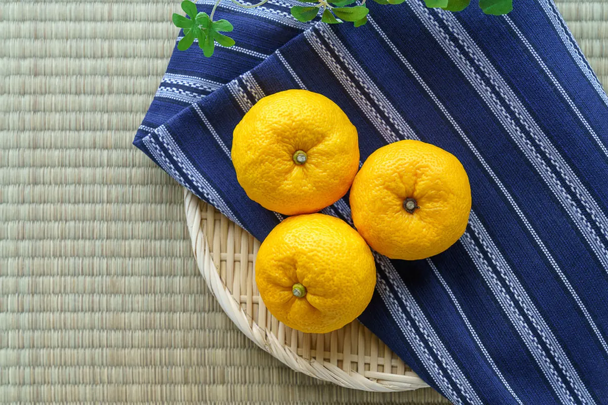 Kenalan Sama Uniknya Buah Yuzu, Superfruit Yang Memiliki Vitamin C 3x Lebih Banyak Dari Buah Lemon Lainnya