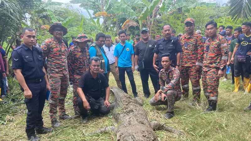 Buaya ditembak mati setelah menerkam seorang pekerja perkebunan Warga Negara Indonesia (WNI) yang sedang memancing di Sungai Matamba, Malaysia. (Wildlife Department)