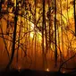Kebakaran hutan di California meneyebabkan beberapa rumah-rumah ikut terbakar, pristiwa kebakaran ini melibatkan lebih dari seribu seratus personil kebakaran dikerahkan.