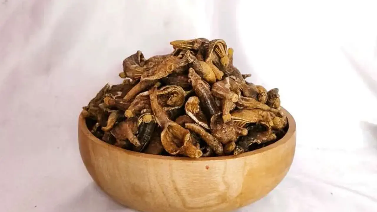Keripik Teripang Khas Gresik. (Foto: Gemini AI)