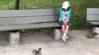 Tupai Jinak Ini Bantu Cabut Gigi Seorang Anak