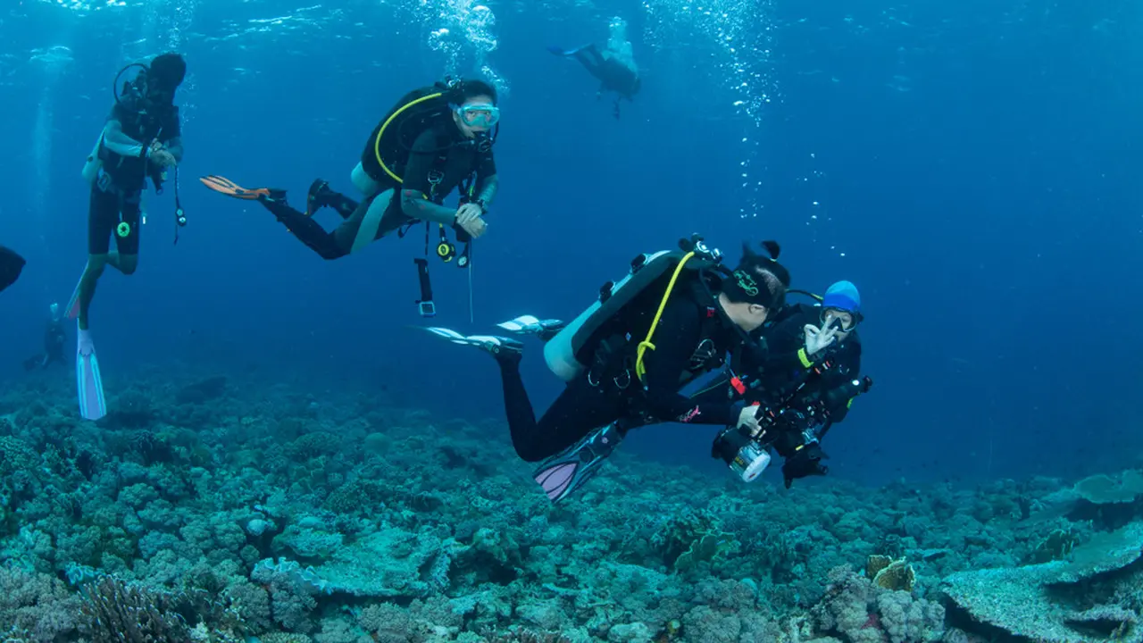 4 Aktivitas saat Bulan Madu di Wakatobi, Seru & Menyenangkan!