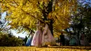 Perempuan yang mengenakan pakaian tradisional Hanbok berpose untuk selfie di bawah pohon gingko dengan dedaunan musim gugur di halaman Istana Gyeongbokgung di Seoul, Korea Selatan pada 2 November 2023. (ANTHONY WALLACE / AFP)
