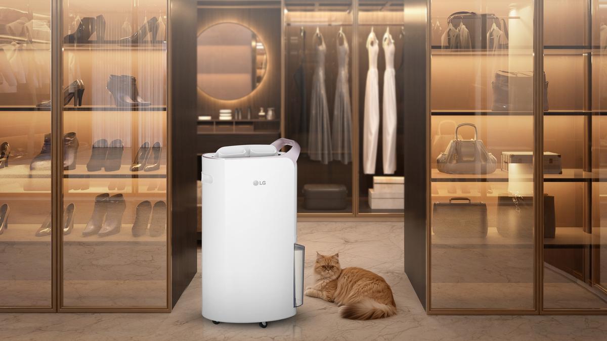 Tips Memilih Dehumidifier untuk Cegah Jamur, Bau Apek, dan Udara Lembap yang Ganggu Kesehatan