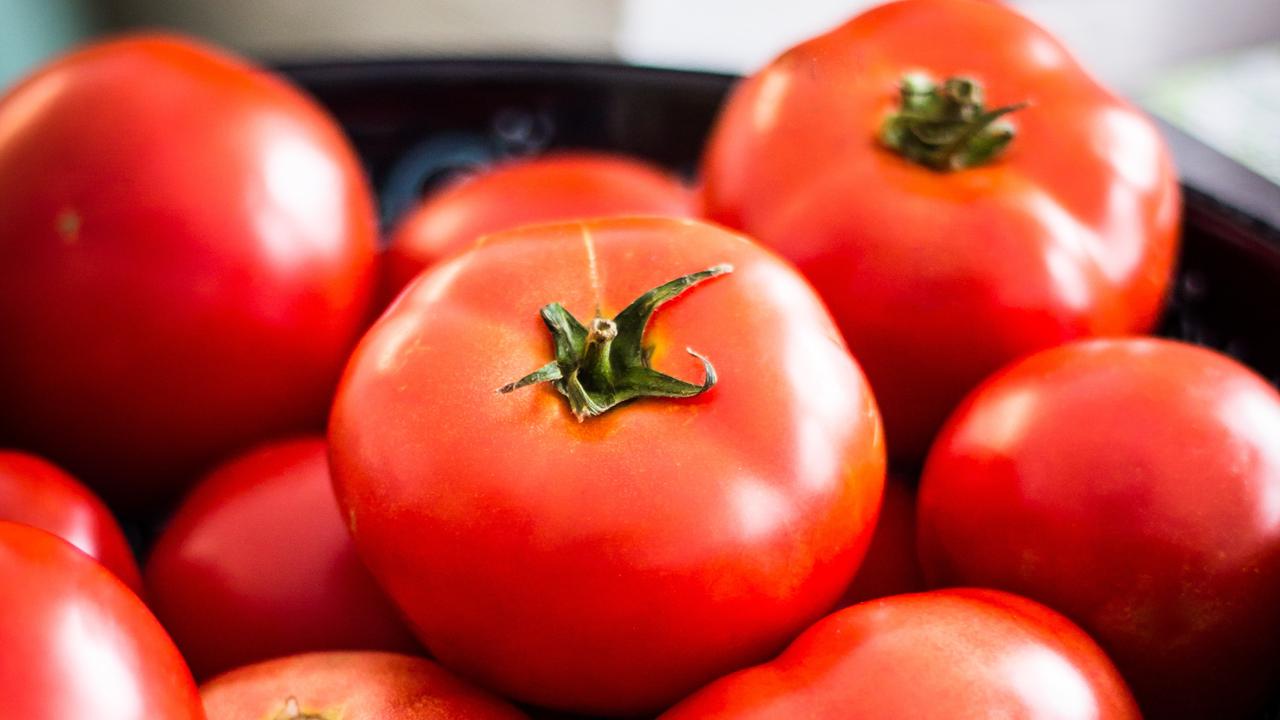 5 Manfaat Tomat untuk Kesehatan, Kontrol Kadar Gula Darah Hingga Cegah Kanker