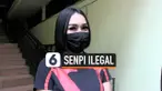 artis senpi thumbnail