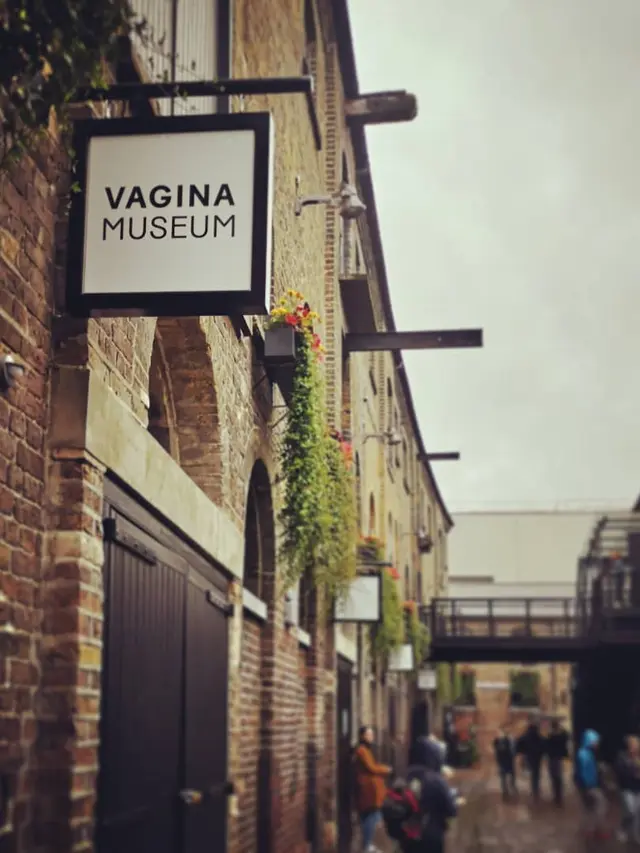 Museum Vagina