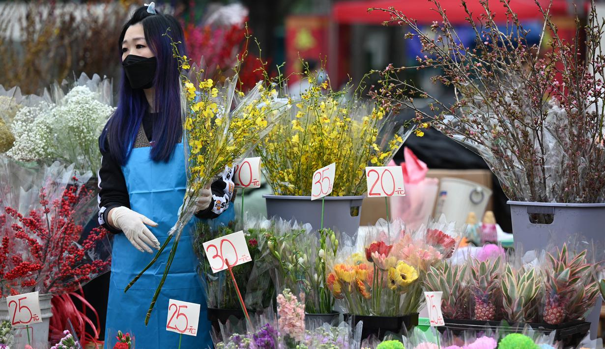 Seorang pedagang menata bunga pada hari pembukaan pasar bunga di Hong Kong (16/1/2023). Tahun Baru Imlek tahun ini jatuh pada tanggal 22 Januari 2023. (AFP/Peter Parks)