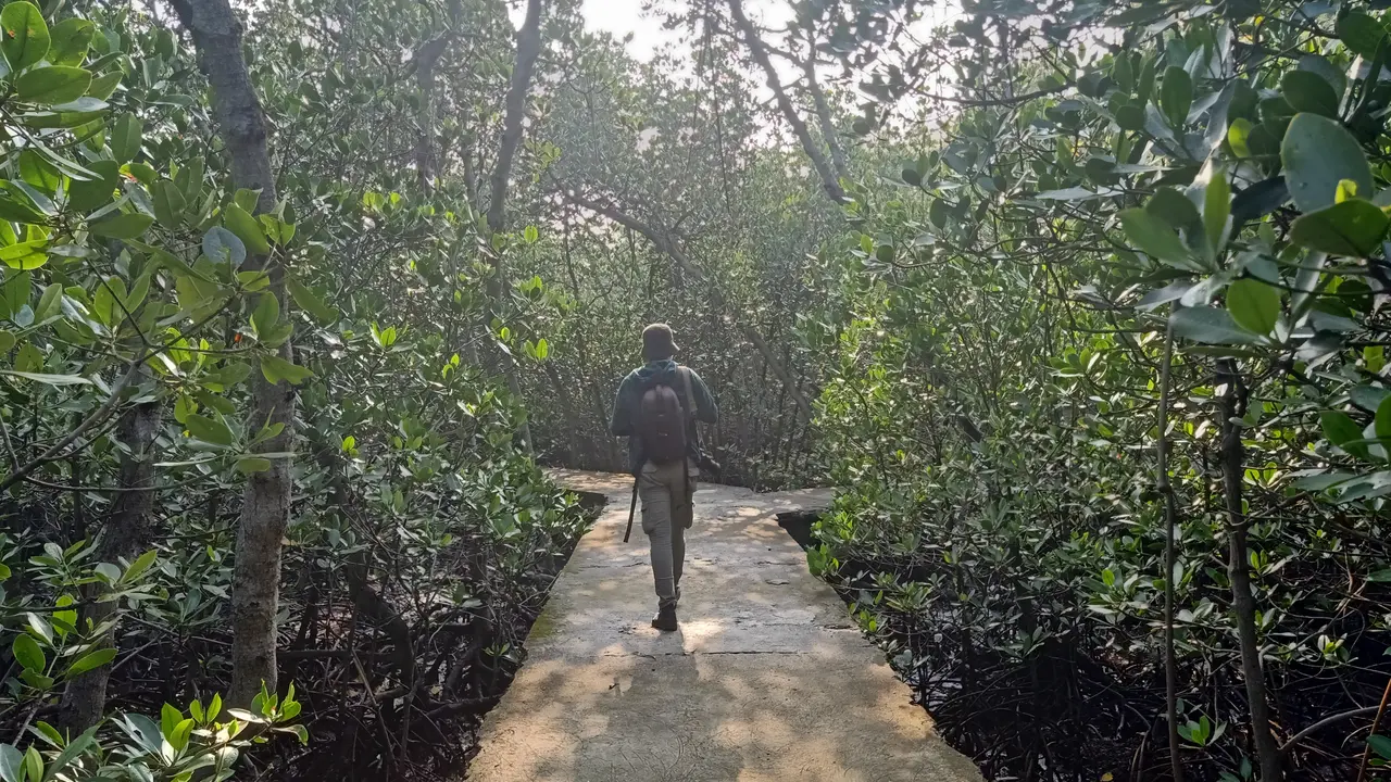 Saatnya Beralih ke Regenerative Tourism, Berwisata Sambil Healing dan Mengasah Kepedulian Lingkungan