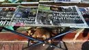 Seekor kucing bersantai di bawah kios koran yang menampilkan surat kabar dengan berita utama berisi insiden jatuhnya helikopter pemilik klub Liga Inggris Leicester City, Vichai Srivaddhanaprabha di Bangkok, Senin (29/10). (Lillian SUWANRUMPHA/AFP)