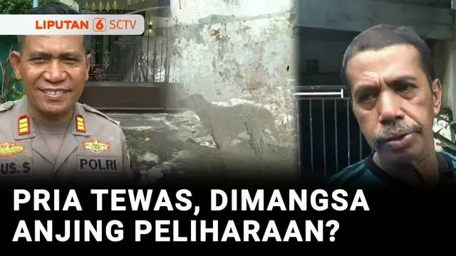VIDEO: Geger! Pria Tewas Mengenaskan di Rumahnya, Diduga Dimangsa Anjing Peliharaan