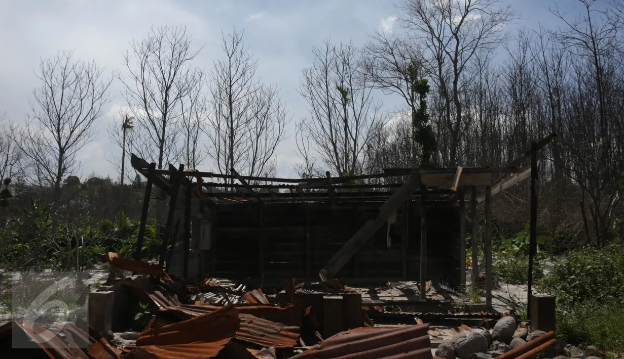 Sebuah rumah hancur akibat luncuran awan panas Gunung Sinabung pada April 2015 di Desa Sibintun, Karo, Sumatera Utara, Minggu (5/7/2015). Akibat letusan Sinabung, desa tersebut sudah tak lagi berbentuk. (Liputan6.com/Johan Tallo)