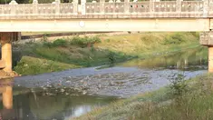 Sampah dan lumpur muncul ke permukaan di aliran Kanal Banjir Timur yang surut di Jakarta, Selasa (9/10). Berkurangnya debit air akibat musim kemarau menyebabkan sampah yang mengendap tampak ke permukaan. (Liputan6.com/Immanuel Antonius)