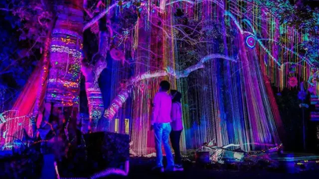 Dukung Destinasi Wisata Lokal, Telkomsel Jadi Connectivity Partner Hutan Menyala Tahura Djuanda