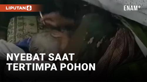 VIDEO: Kakek di Makassar Merokok dengan Santai Meski Tertimpa Pohon