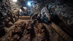Arkeolog meneliti mumi yang berada di sebuah makam kuno di kota Luxor, Mesir (9/9). Mumi-mumi kuno ini diperkirakan berumur 3.500 tahun. (AFP Photo/Khaled Desouki)