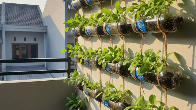 Kebun Gantung dari Botol Bekas untuk Rumah Tanpa Tanah. AI