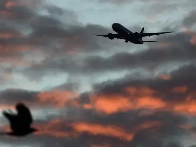 Sebuah pesawat British Airways saat akan mendarat di Bandara Heathrow, London, Inggris, (18/4). Pesawat British Airways dilaporkan ditabrak sebuah drone saat akan mendarat di Bandara Heathrow. (REUTERS / Toby Melville)