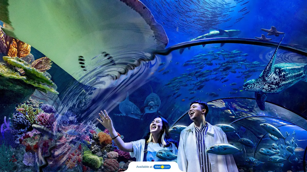 Potret Sea World Ancol (Sumber: Tiket.com)