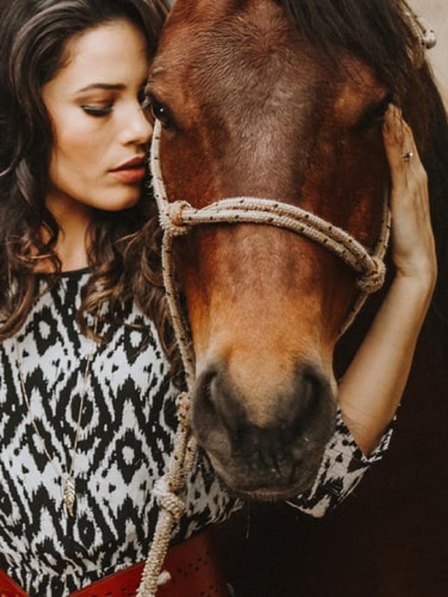 Ilustrasi terapi kuda