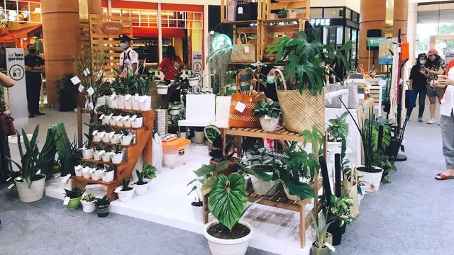 Semasa pandemi Covid-19, ternyata membawa tren tanaman hias kembali membooming. Bahkan di Summarecon Mall Serpong, dipamerkan harga tanaman senilai jutaan rupiah.