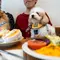 Restoran di Hong Kong Perbolehkan Pelanggan Bawa Anjing
