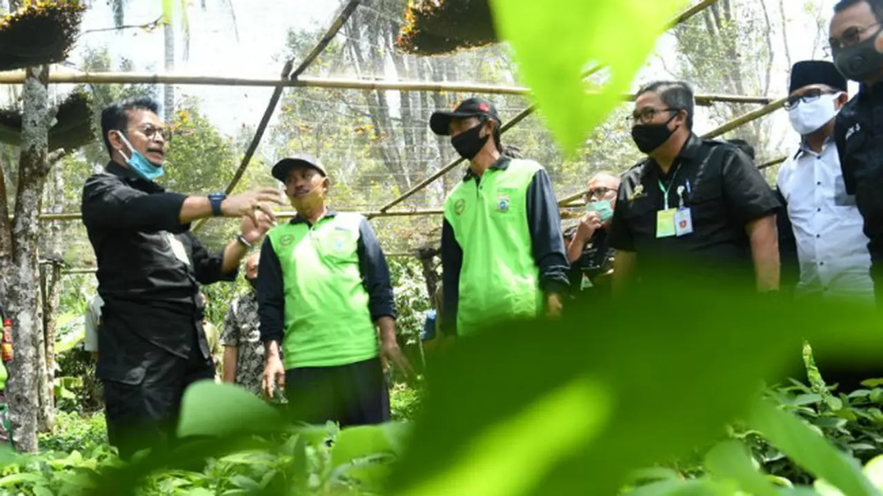 Mentan Syahrul Dorong Malang Jadi Penghasil Alpukat Berkualitas