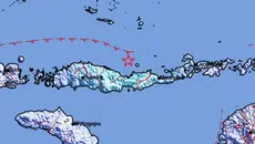 Gempa Susulan Magnitudo 5,2 Guncang Nagekeo NTT