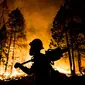 Seorang petugas pemadam saat berusaha memadamkan api yang membakar Hutan Nasional Sierra, California, AS, Jumat (21/8/2015). Mereka berusaha agar api tak menyebar luas hingga pemukiman penduduk. (REUTERS/Max Whittaker)