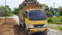 Truk yang diduga melakukan pencurian sawit milik Kopsa-M yang diserahkan ke Polsek Perhentian Raja, Kabupaten Kampar. (Liputan6.com/M Syukur)