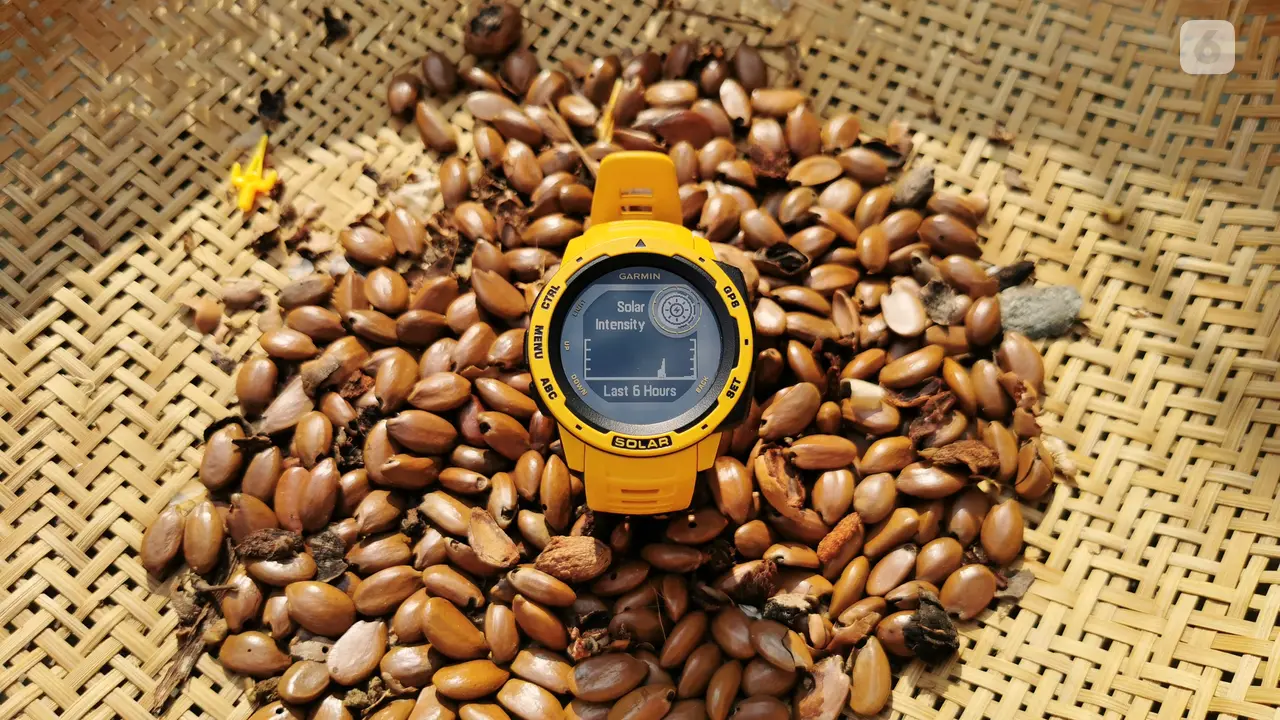 Smartwatch Bertenaga Surya Garmin Instinct Solar