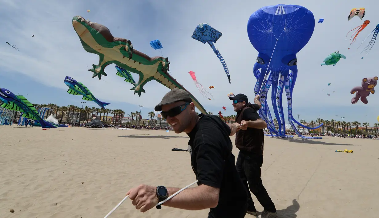 Peserta menarik layang-layangnya untuk diterbangkan saat mengikuti Festival Internacional del Viento (Festival Angin Internasional) di pantai Malvarrosa, di Valencia, Spanyol (23/4). (AFP/Jose Jordan)